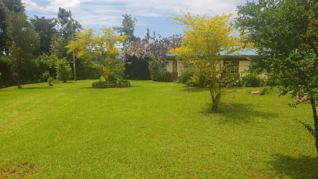 WhatsApp Image 2026-02-05 at 11.05.11