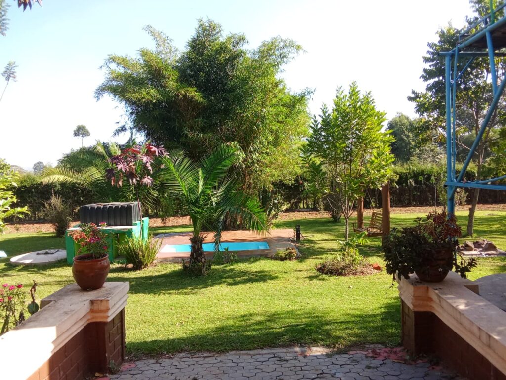 WhatsApp Image 2026-02-05 at 11.05.11 (2)