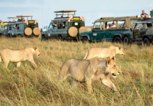 Adventure Africa Expeditions